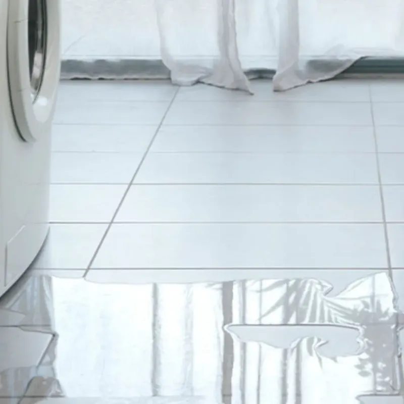 Appliance Leak Cleanup in Pierson, FL