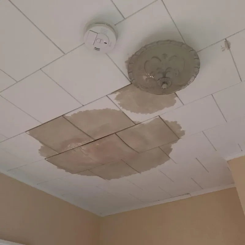 Ceiling Water Damage Repair in Pierson, FL